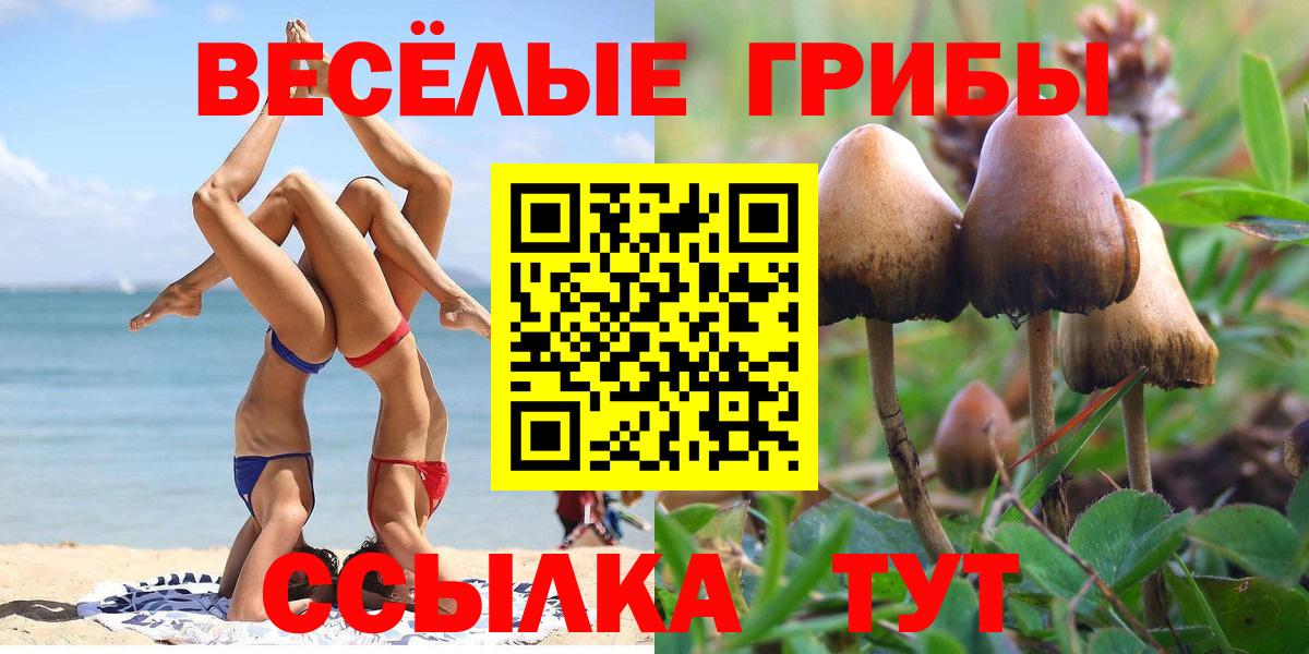 Галлюциногенные грибы Magic Shrooms  Вход с VPN  Можайск 