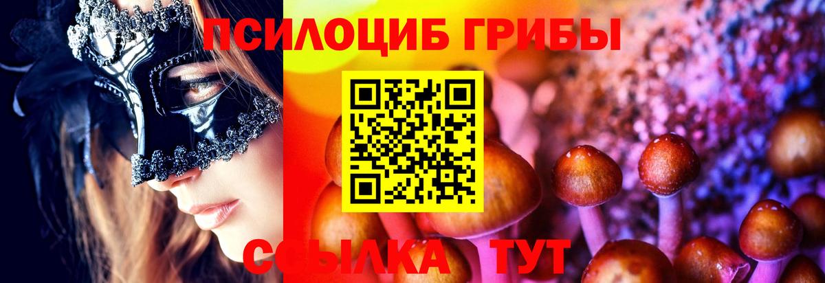 Псилоцибиновые грибы мухоморы Можайск